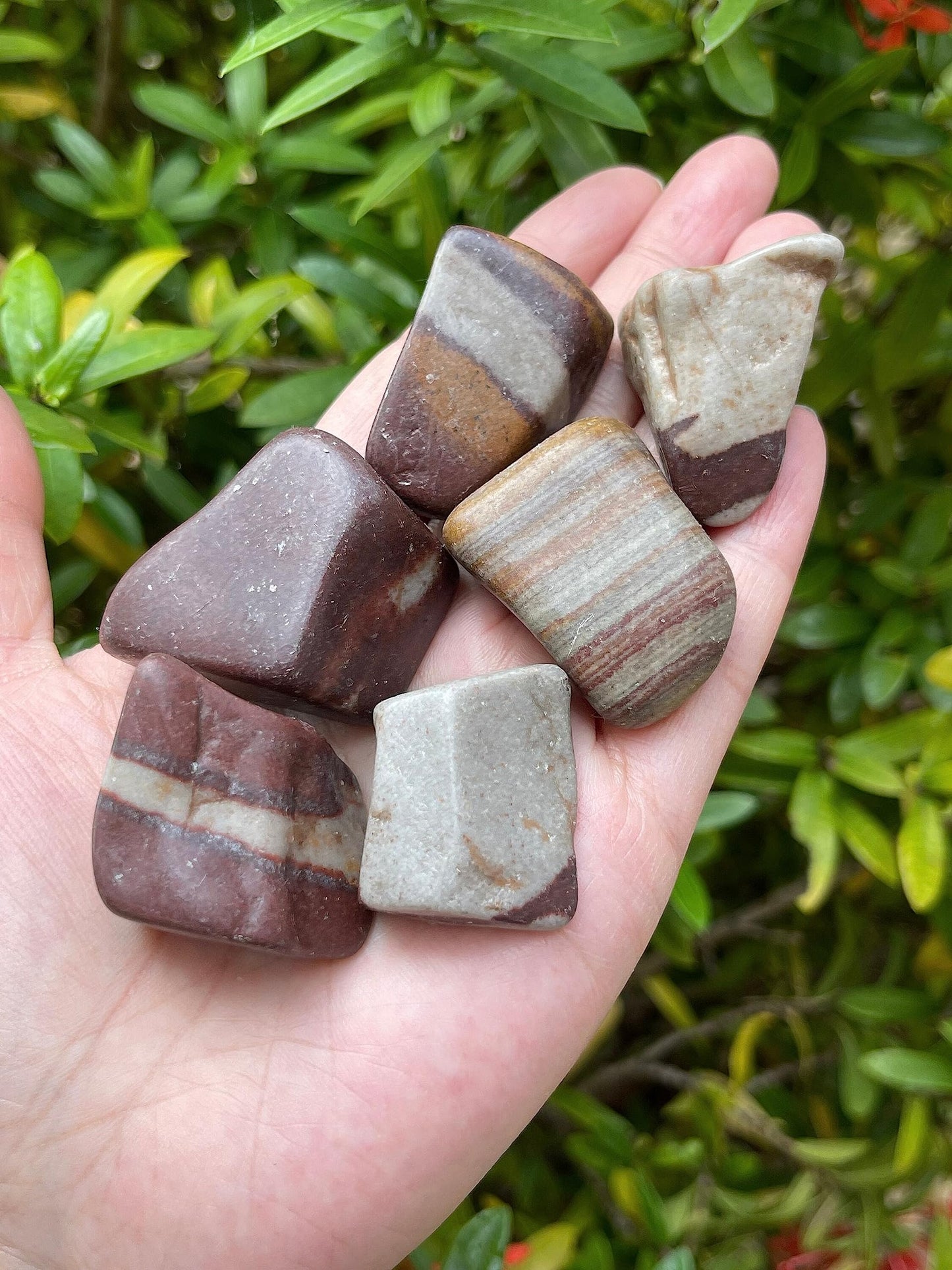 GAF TREASURES 5 Pcs Shiva Lingam Tumbled Stones, Polished Shiva Lingam Gemstone, Shiva Lingam Healing Crystals (Shiva Lingam)