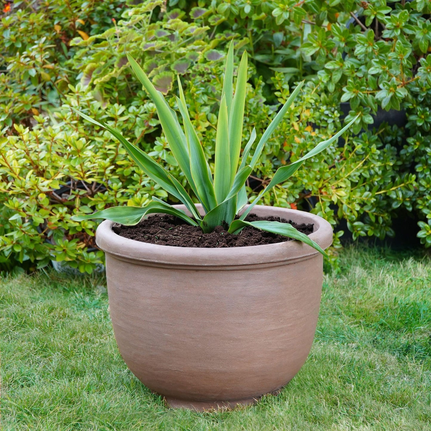 Crescent Garden Agave Planter, Classic Lightweight Resin Planter - UV-Resistant Flower Pots - Indoor & Outdoor Pot for Flowers, Houseplant, Herbs, 21" W x 17" H (Parchment)