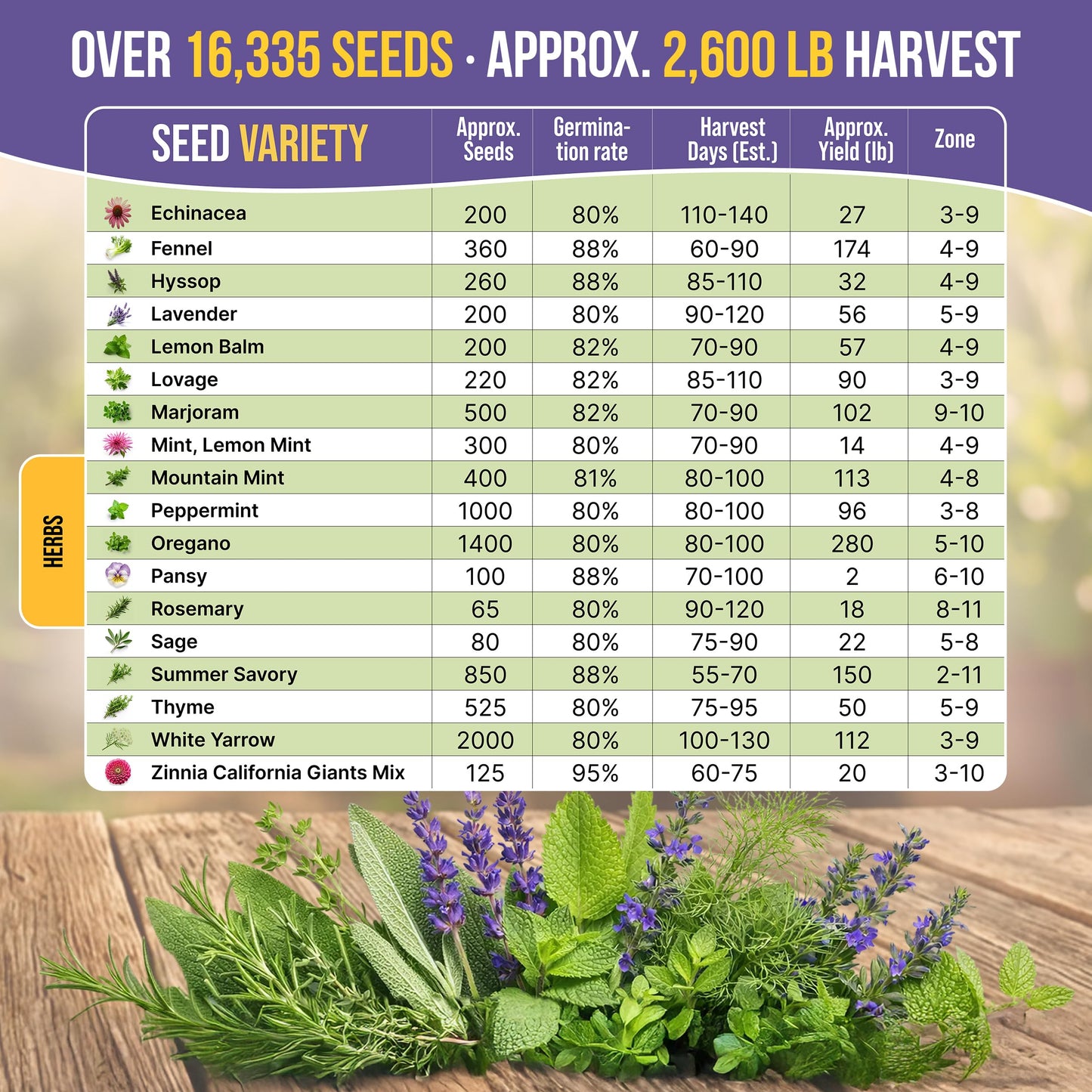 35 Medicinal & Tea Herb Seeds Variety Pack for Indoor & Outdoors. 16,335+ Non-GMO Heirloom Garden Seeds: Anise, Bergamot, Borage, Cilantro, Chamomile, Dandelion, Rosemary Seeds & More