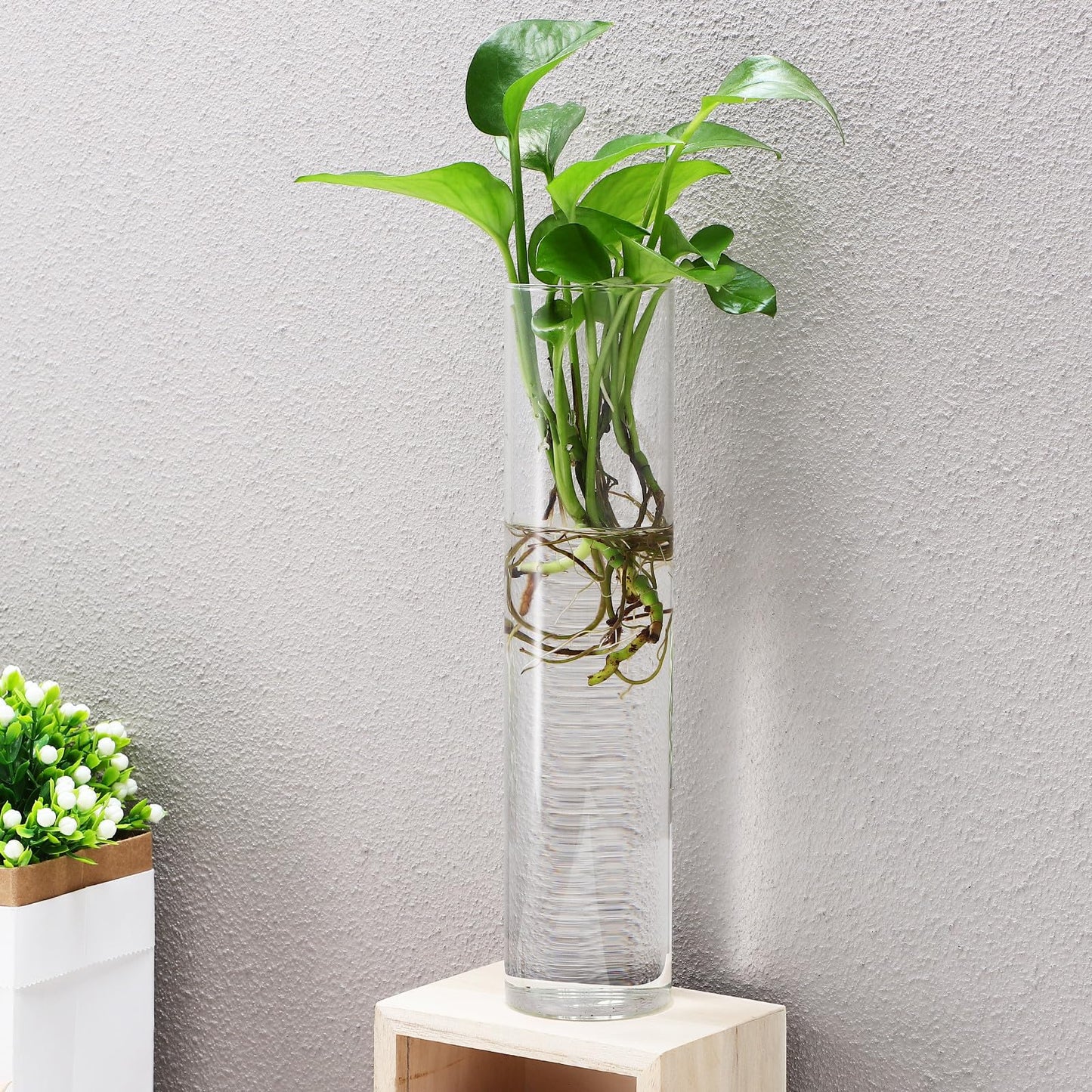 ARTSEWPLY Wall Mounted Glass Tube Vases for Plants Propagation, Large Cylinder Hanging Terrariums, Water Plants Holder for Indoor Home Décor, 2pcs