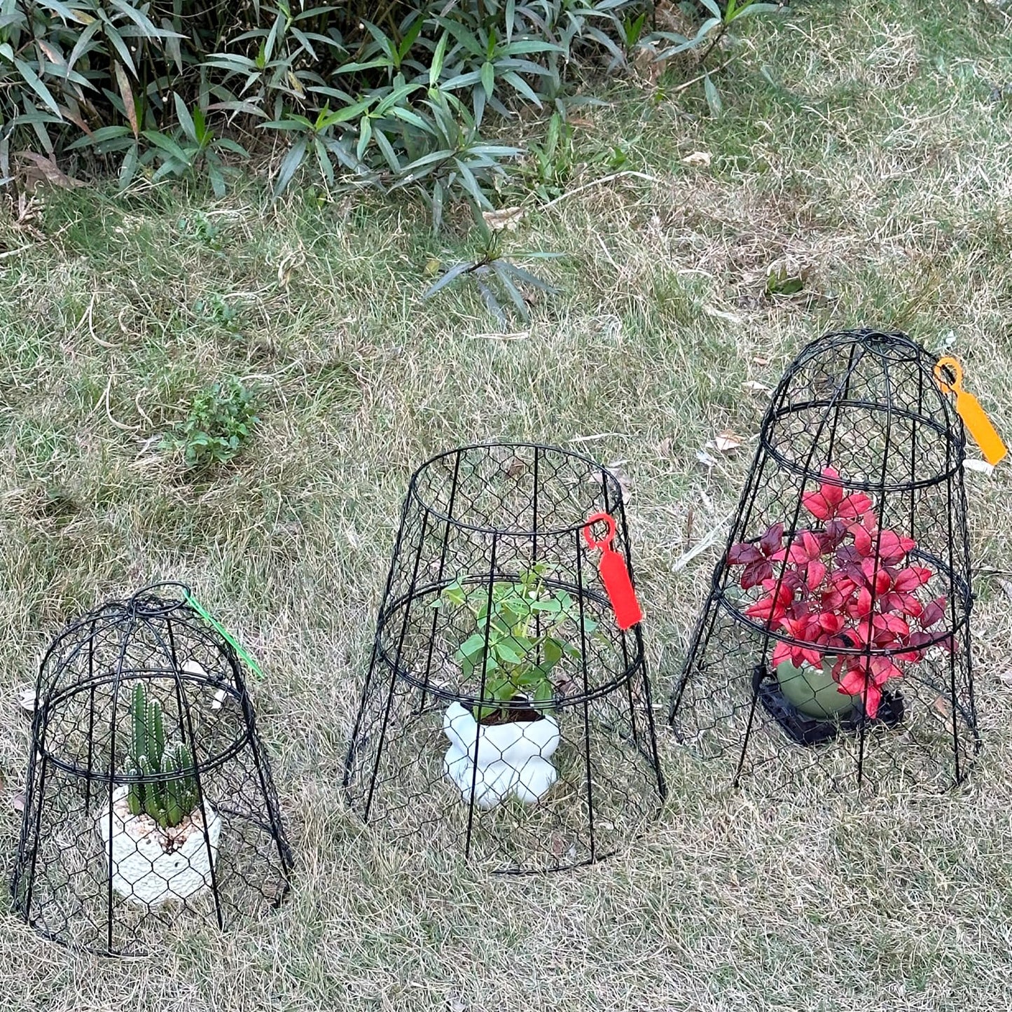 XMxoTxo 6 Packs 11.4" D x 17.7" H Garden Cloches for Plants,Upgraded Triple Combination,Rustproof Chicken Wire Cloches Flip-Top Design,Plant Protectors from Animals,Ideal for Outdoor Plant Protection