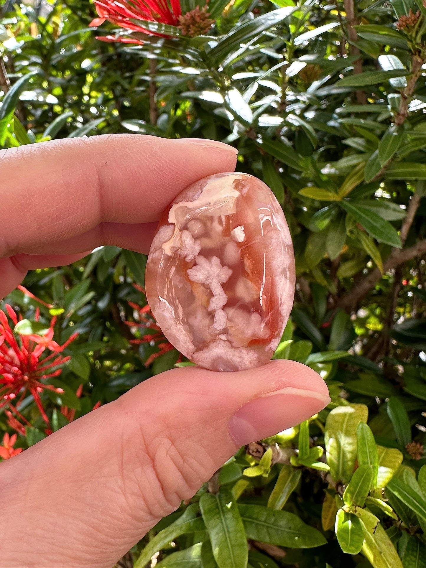GAF TREASURES 5 Pcs Flower Agate Tumbled Stones, Polished Natural Flower Agate Gemstone, Flower Agate Healing Crystals (Flower Agate)