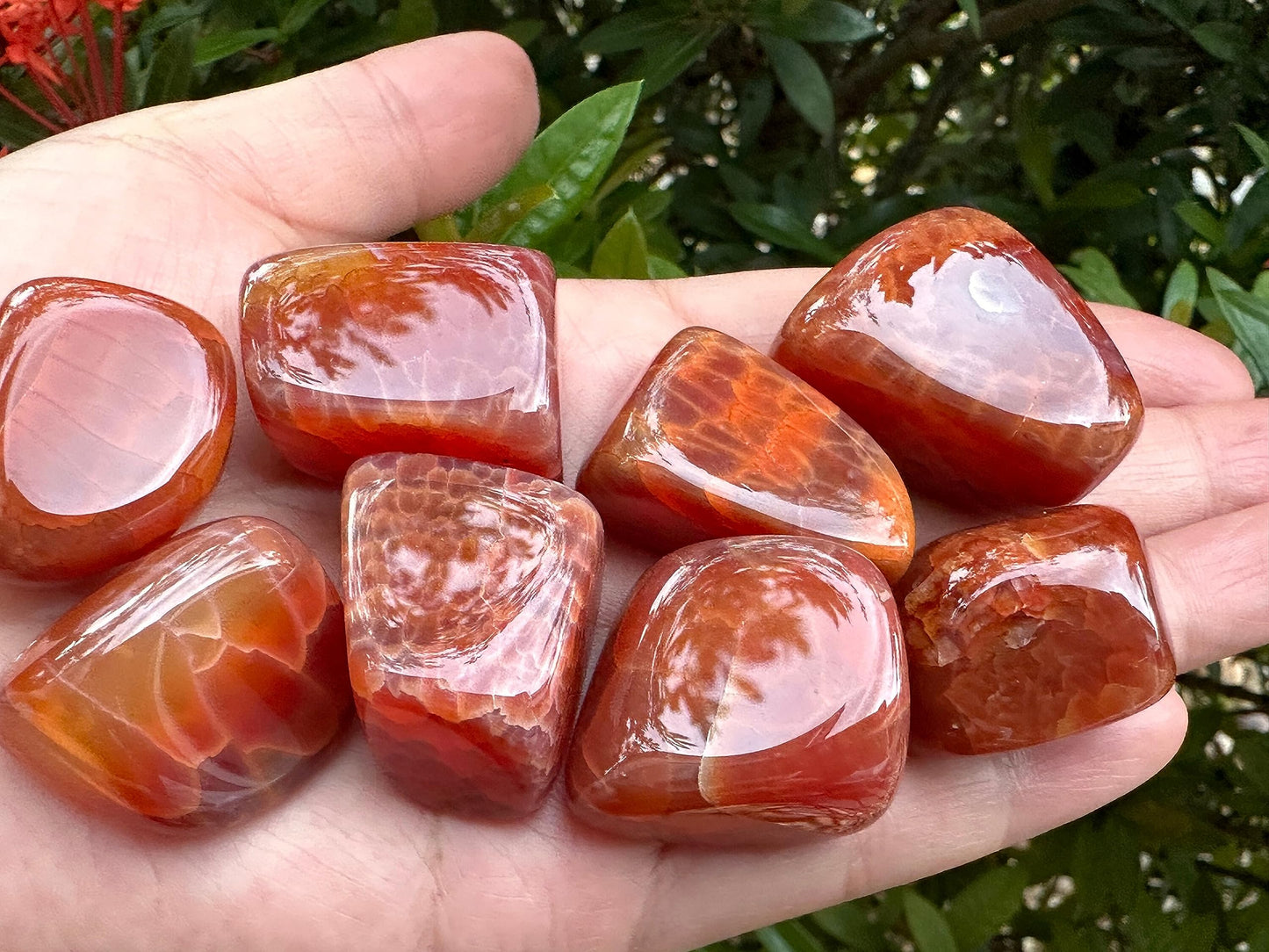 Wholesale Tumbled Fire Agate Stones, Polished Fire Agate Rocks (0.25 Pound)