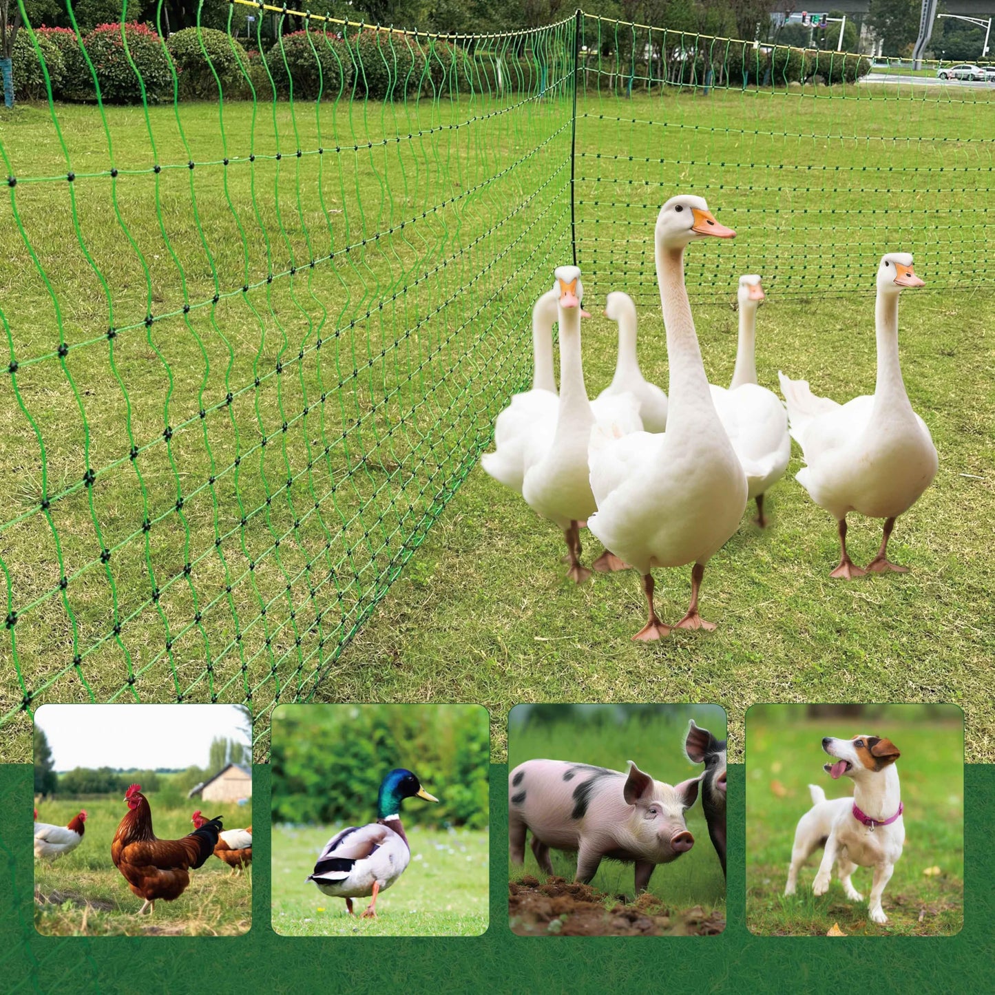1 Pack Premium Portable Pre-Assembled Poultry Netting Electric Fence 47.3" x 98.5', Green,Utility Portable Mesh for Chickens, Ducks,Geese,Rabbits,Used in Backyards,Farms,and Ranches